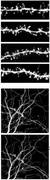 Sleep Promotes Memory Formation, NYU Researchers Find (1)