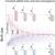 adder cell division