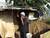 tatang smoking outside