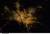 New Delhi, India from space