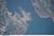 Wellington, New Zealand from spaceWellington, New Zealand from spaceWellington, New Zealand from spaceWellington, New Zealand from spaceWellington, New Zealand from spaceWellington, New Zealand from space